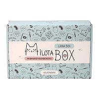 Подарочный набор MilotaBox Lama Box iLikeGift MB107