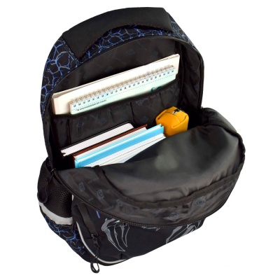 Рюкзак школьный Скорпион Феникс ФЕ-64152 3