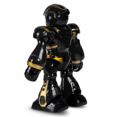 Робот интерактивный радиоуправляемый Рома Smart Baby JB0211579