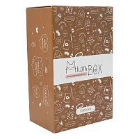 Подарочный набор MilotaBox mini Funny Box iLikeGift MBS026
