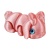 Игрушка-антистресс Крольчиха Кортни FunBerry Toys 1352