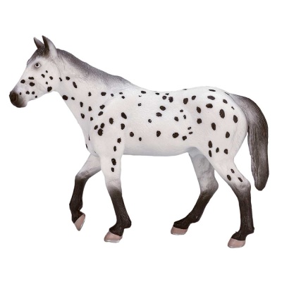 Фигурка Аппалузский жеребец Konik AMF1038 2