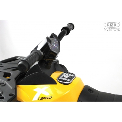 Детский электроквадроцикл 4WD RiverToys T001TT зеленый