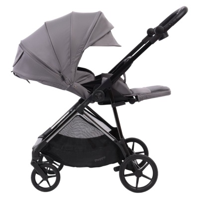 Прогулочная коляска Peppy Amici Grey рама Black Chrome (LX)