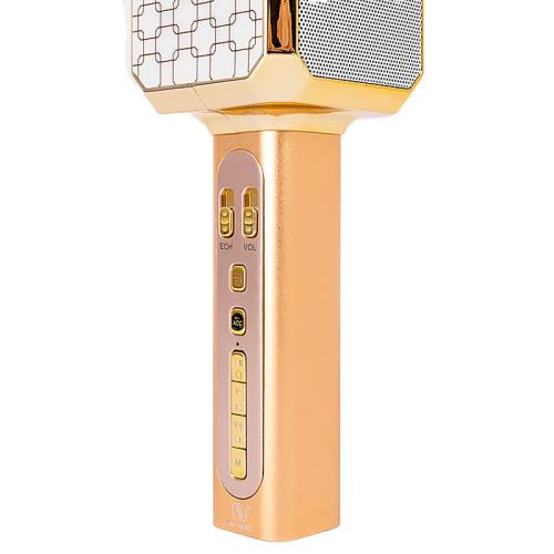 Микрофон Караоке с колонкой YS05 фото 4