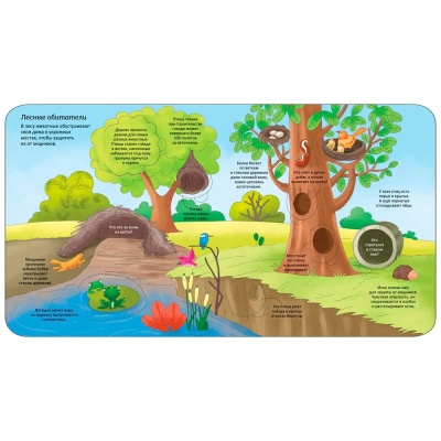 Животные Энциклопедия с окошками Росмэн 41701 2