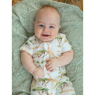 Песочник Сафари Little Star 4741 03