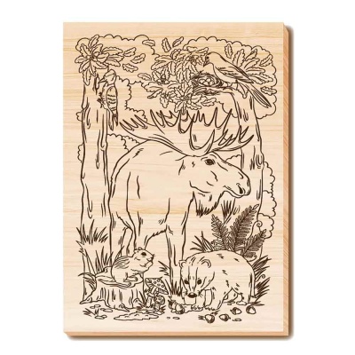 Набор досок для выжигания и росписи Животный мир Десятое Королевство 04956 5