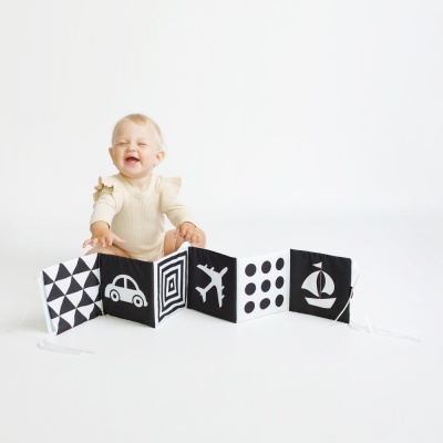 Игрушка мягконабивная Книжка-бортик Транспорт Мякиши 829