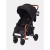 Коляска прогулочная Rant Vega RA057 Black