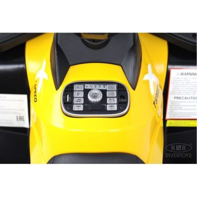 Детский электроквадроцикл 4WD RiverToys T001TT зеленый