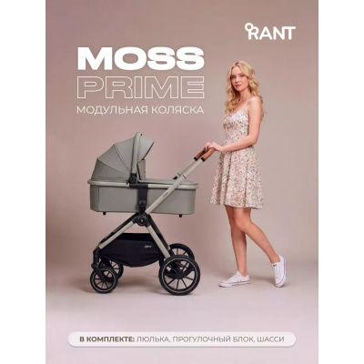 Коляска 2 в 1 Rant Moss Prime RA321 Grey 02