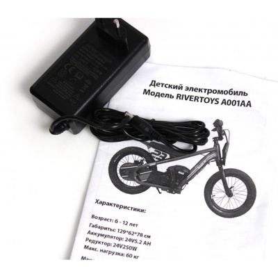 Детский электромотоцикл RiverToys A001AA красный 02