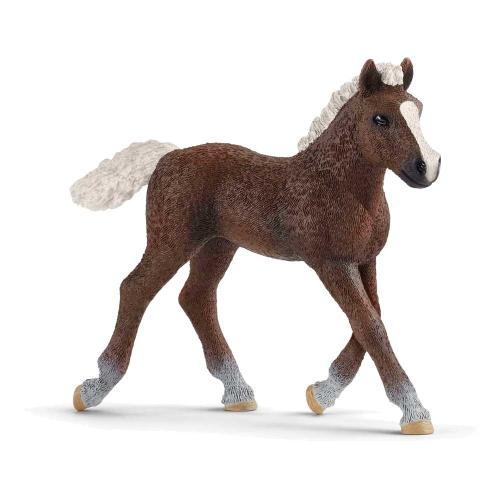 Фигурка Шварцвальдский жеребенок Schleich 13899