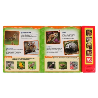 Музыкальная книга В. Степанов Лесные животные Умка 9785506032069