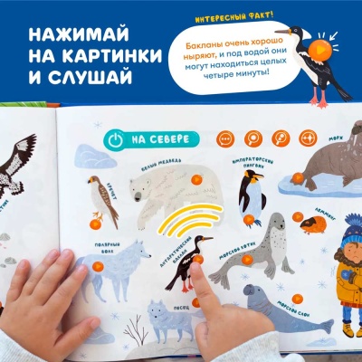 Интерактивная книга Fingerbook Какие бывают животные Abumba ABU-FING-02 2