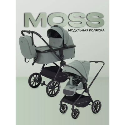 Коляска 2 в 1 Rant Moss RA321 Olive 02