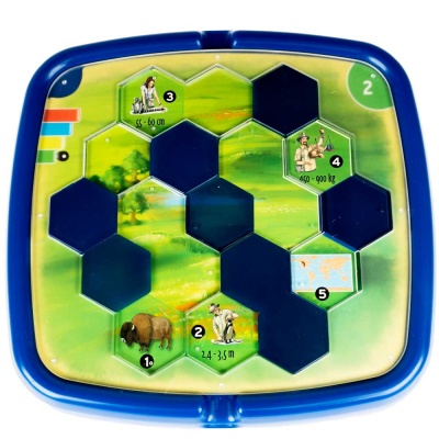 Логическая игра Фауна Bondibon ВВ0959