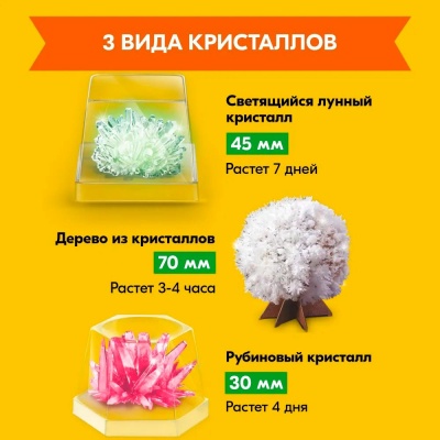 Набор проектов 3 в 1 Сокровища земли 4M 00-05538/US 3