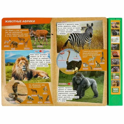 Интерактивная книга 100 голосов животных  Умка формат 233 x 302 мм