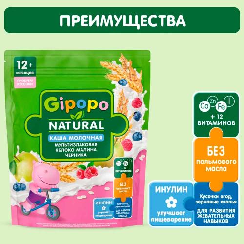 Каша Мультизлаковая молочная яблоко малина черника 200 г с 12 месяцев Gipopo фото 2