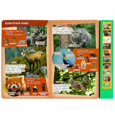 Интерактивная книга 100 голосов животных  Умка формат 233 x 302 мм