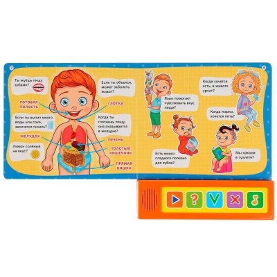 Музыкальная книга Тело человека Викторина Умка 296794 4