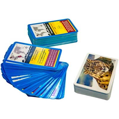 Настольная игра Животные нашей планеты Danko Toys G-JNP-01