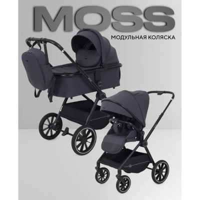 Коляска 2 в 1 Rant Moss RA321 Graphite 02