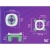 Дорожный горшок HandyPotty с универсальной вкладкой Roxy-Kids HP-255OB
