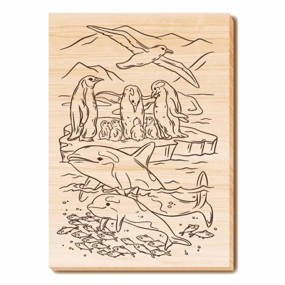 Набор досок для выжигания и росписи Водный мир Десятое Королевство 04955 5