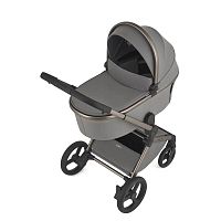 Детская коляска 2 в 1 Anex Flo fl-02 Charm