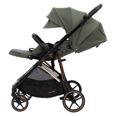 Прогулочная коляска Peppy Amici Green рама Gold (LX)