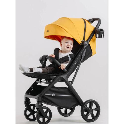 Прогулочная коляска Rant Lumos RA402 Amber Yellow фото 21
