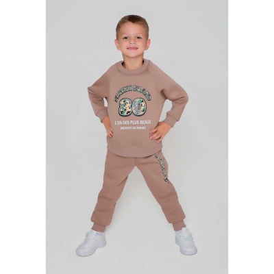 Толстовка для мальчика Спенсер Ивбэби 10932