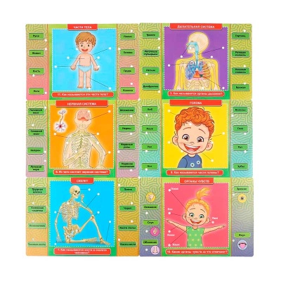 Электровикторина Тело человека Умка HT522-R