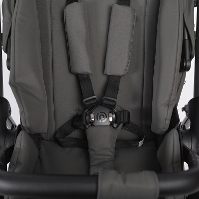 Прогулочная коляска Peppy Amici Antrazit рама Grey