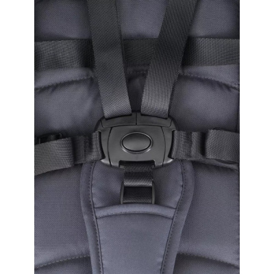 Коляска прогулочная Rant Basic Vega RA105 Graphite