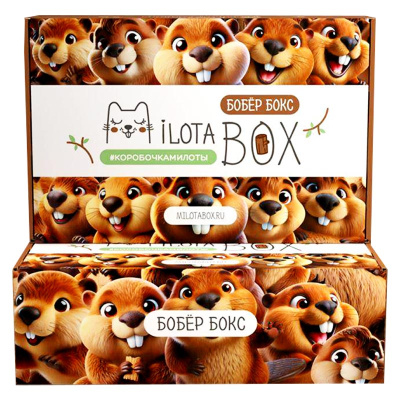 Подарочный набор MilotaBox Бобёр Бокс iLikeGift MB136 4