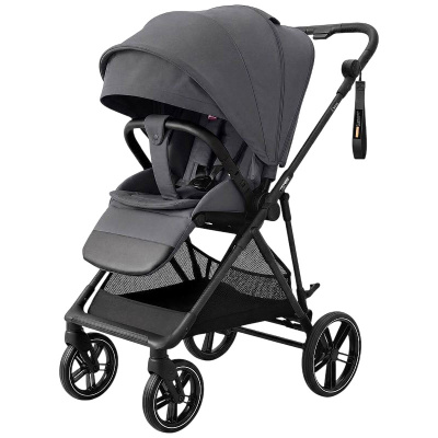 Коляска 2 в 1 Carrello Extra CRL- 6532 Chrome Grey 03