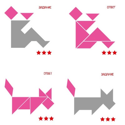 Игра настольная Головоломка IQ Пазлы + Танграм Десятое Королевство 04311