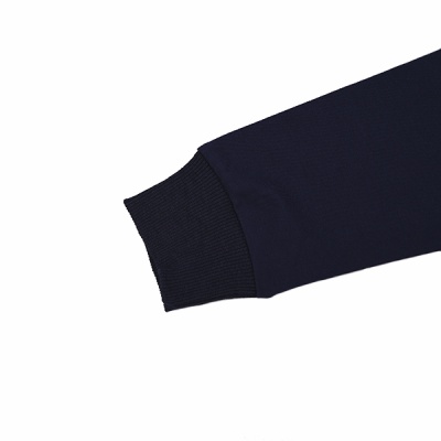 Свитшот демисезонный для мальчика Seabird Sr A011