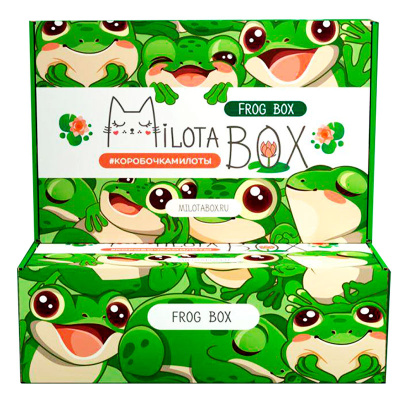 Подарочный набор MilotaBox Frog Box iLikeGift MB141 4