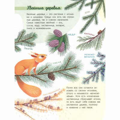 Книга Красная Шапочка и тайны леса Познавательные сказки АСТ 50216869 3