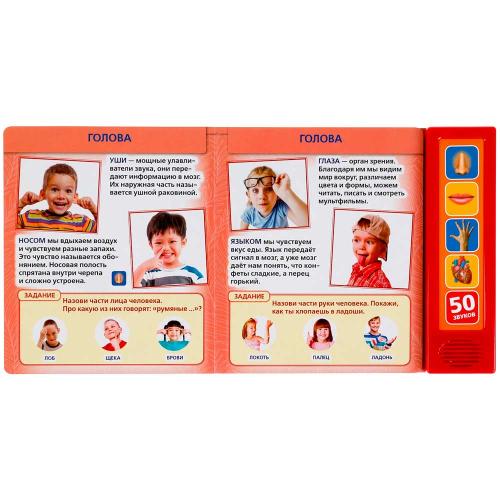 Озвученная книга Тело человека Умка 318226 фото 3