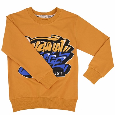 Свитшот демисезонный для мальчиков Seabird Sr 80020