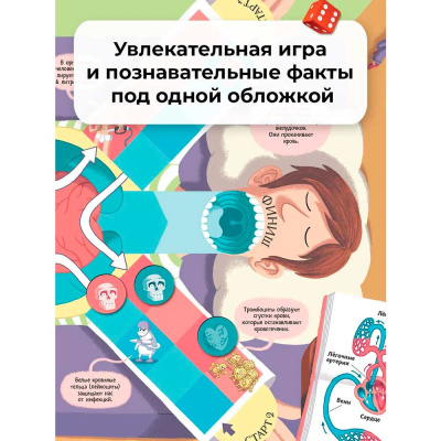 Энциклопедия игра Тело человека АСТ 50221022 4