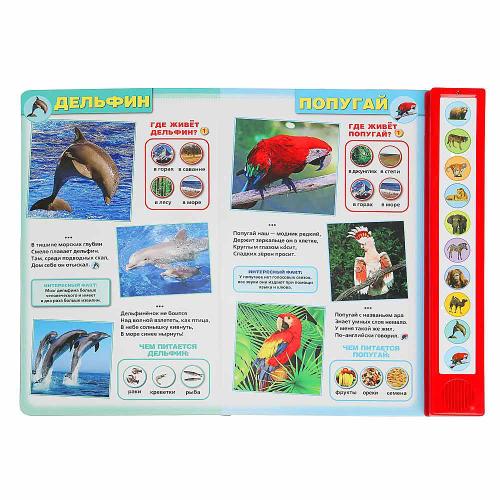 Книга интерактивная озвученная Дикие животные Умка 9785506072348 (24) фото 4