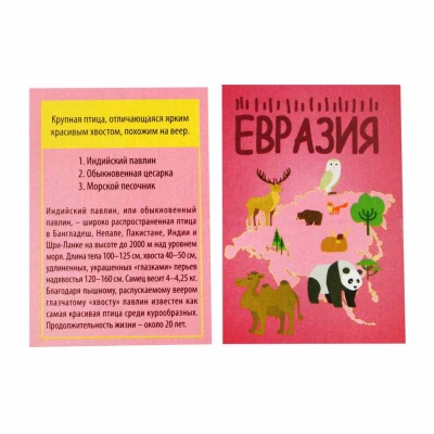 Игра настольная Викторина Мир Десятое Королевство 02942