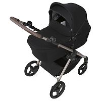 Коляска 2 в 1 Anex iQ Premium (iQ-06-NT-DNA) Smoky